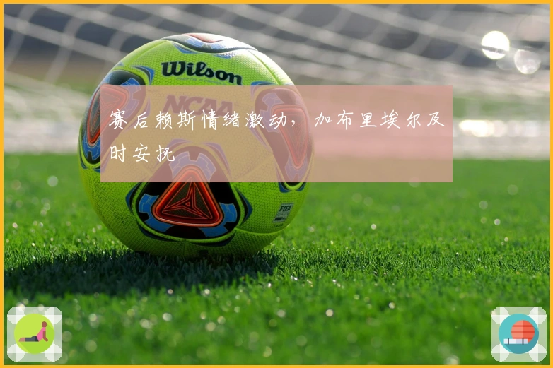 赛后赖斯情绪激动，加布里埃尔及时安抚